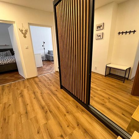 Apartman Visek Jáchymov Exterior foto