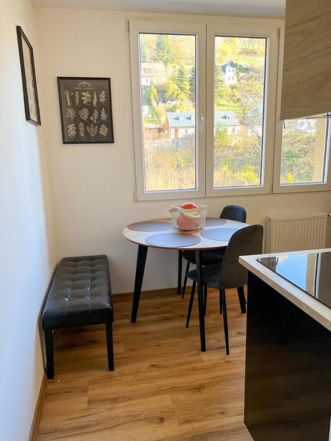 Apartman Visek Jáchymov Exterior foto