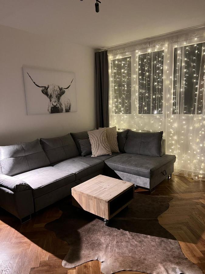 Apartman Visek Jáchymov Exterior foto
