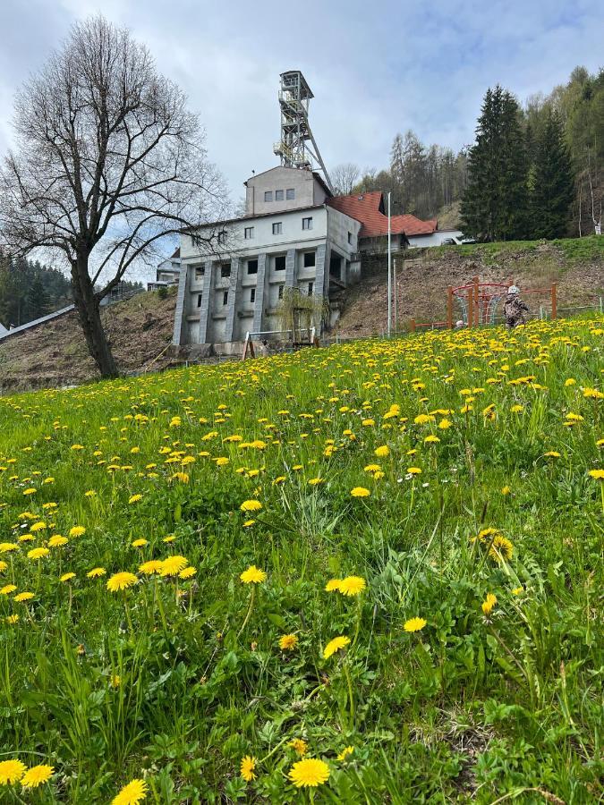Apartman Visek Jáchymov Exterior foto